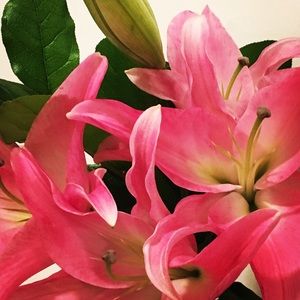 🌸 Meet your Posher, Carla 🌺